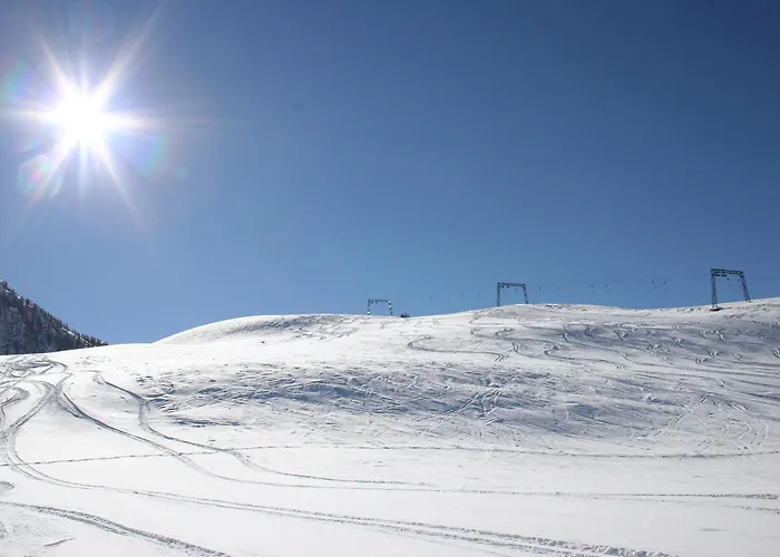 Апартаменты Roland *